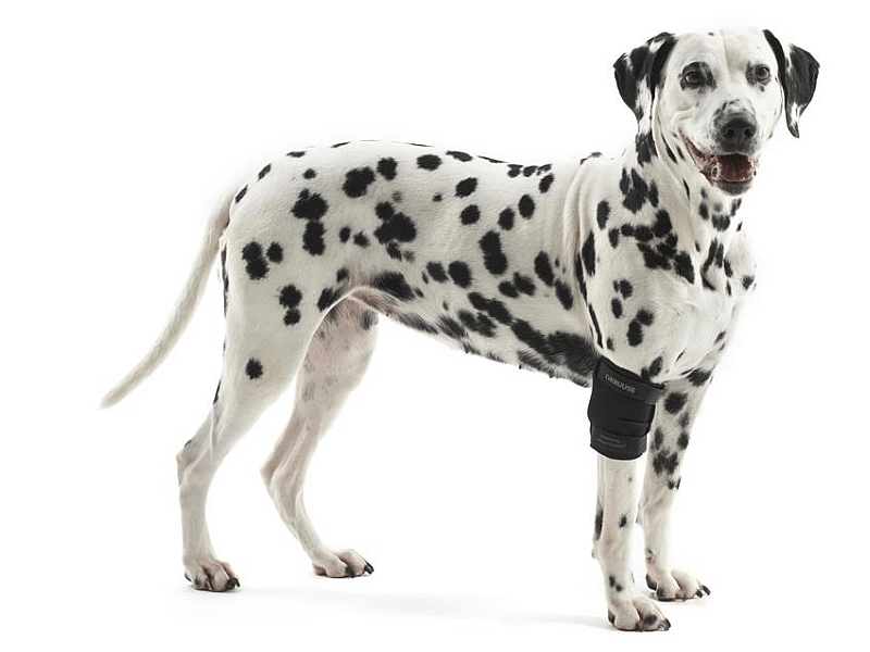 Kruuse Rehab Elbow (Elleboog) Protector Maat X-Small Maat X-Small