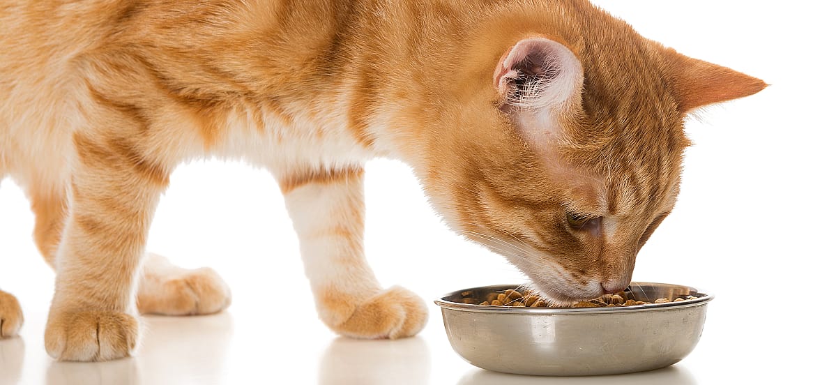 38160c4fed6b6820a97f7730aa672e36