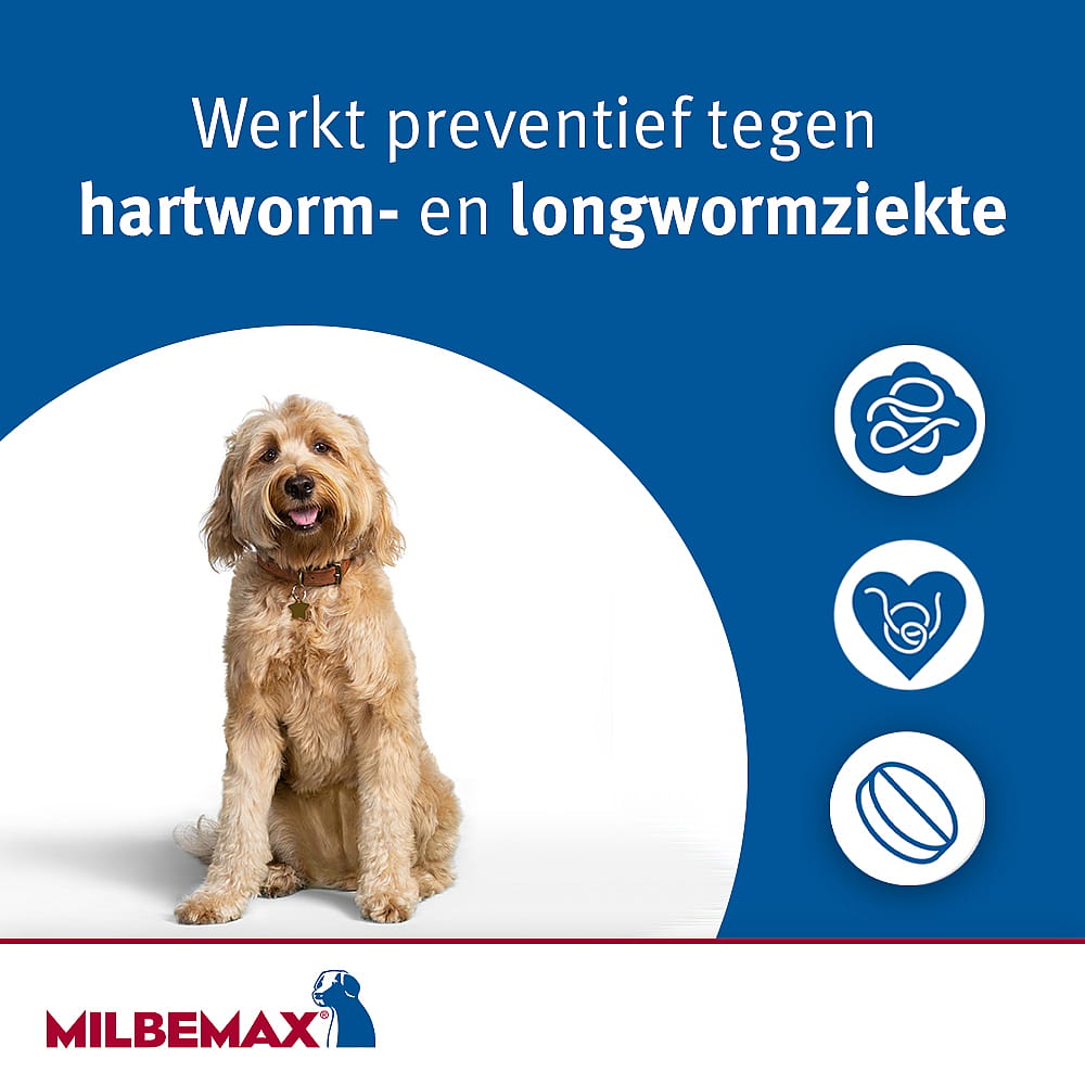Milbemax Grote Hond Ontwormingstabletten 50 tabletten