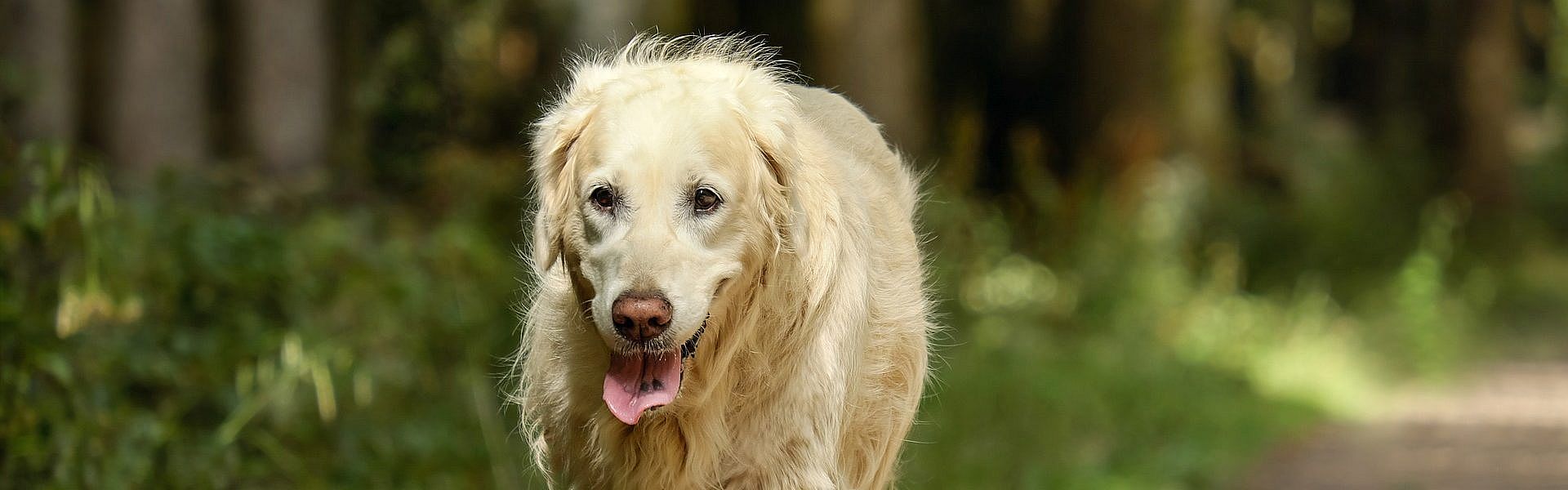 40b50e14d8dace3827bc71e52efe431f