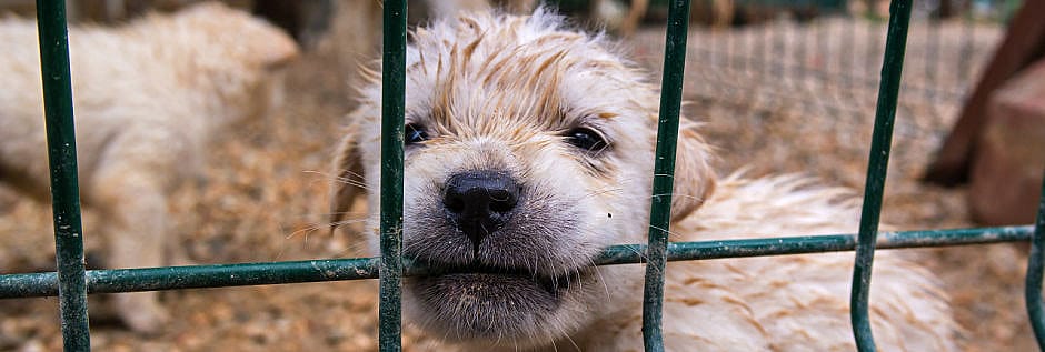 ac86fb78919baeb4d851527de9209e9c