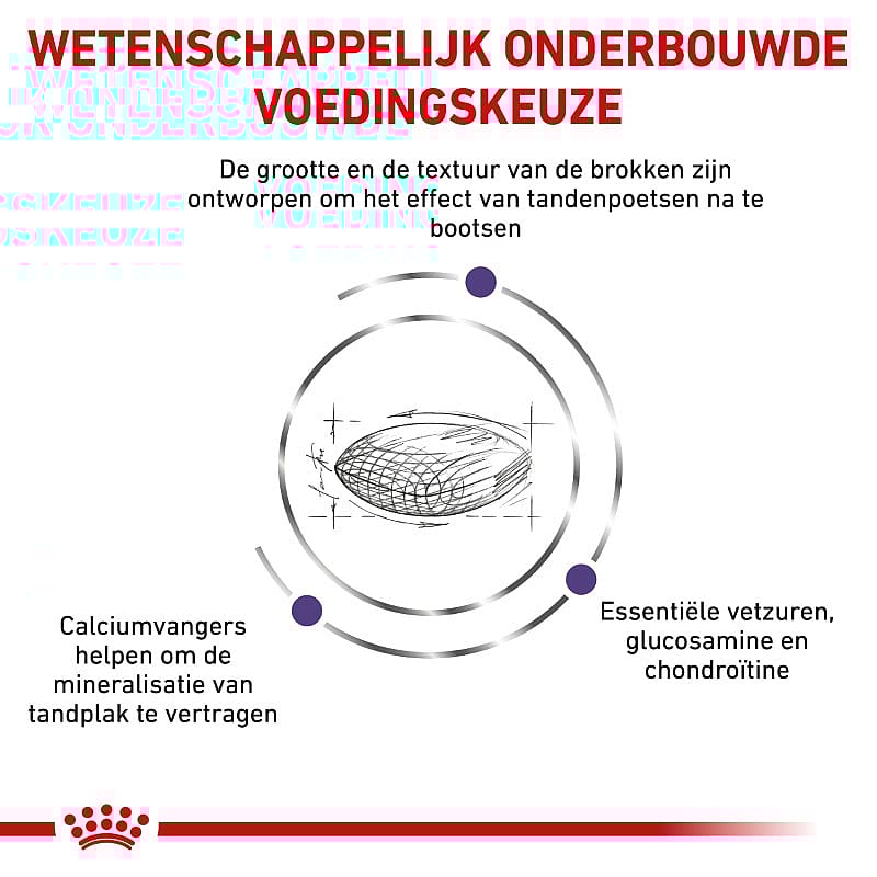 Royal Canin Dental Hond