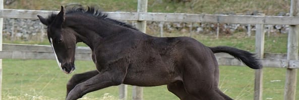 16299366606b15e35131b88381eda31c