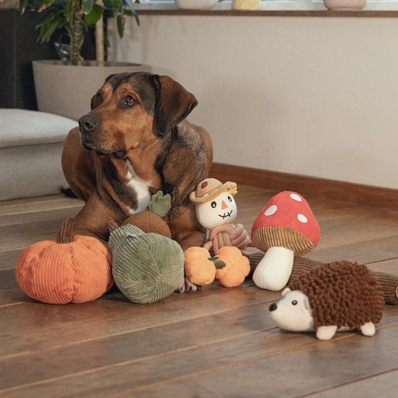 Beeztees Paddestoel Toad Pluche Hond