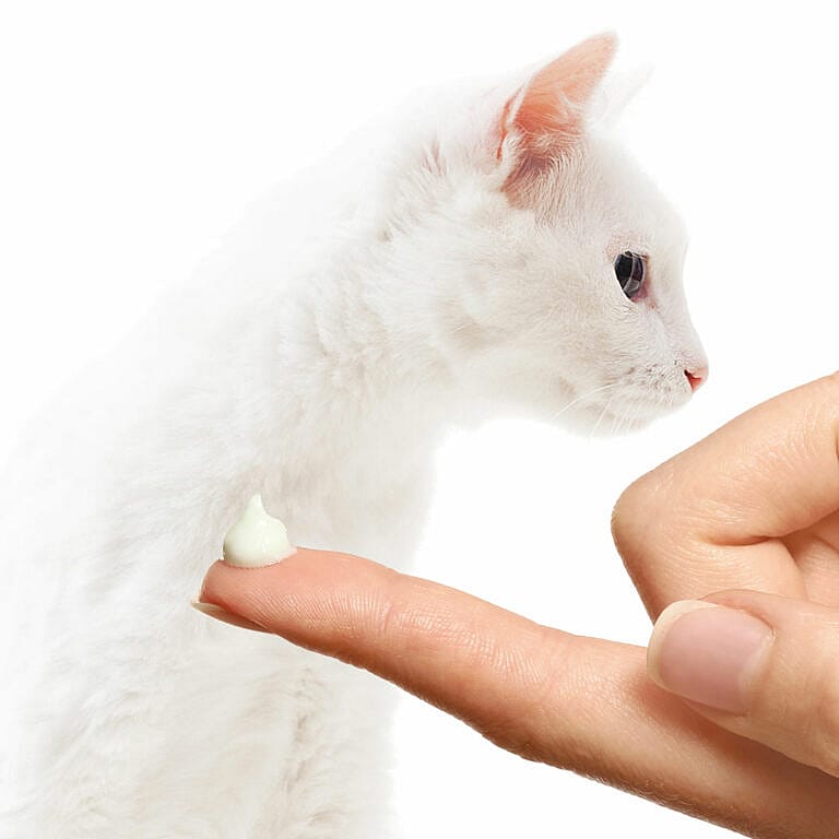 Maxani SunCare Dier 30 ml