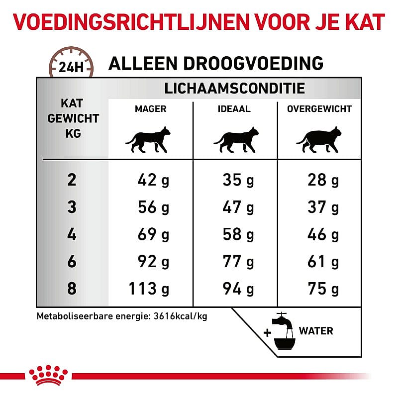 Royal Canin Gastrointestinal Hairball Kat 4 kg
