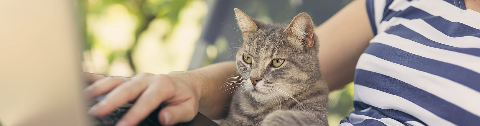 af248a67d5646da1f0d3a3dcc25cf9dc