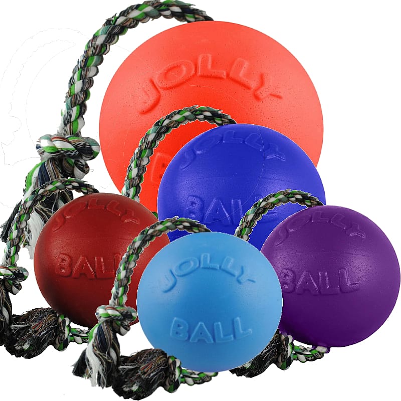 Jolly Ball Romp-n-Roll 10 cm - Baby Blue (Bosbessengeur)