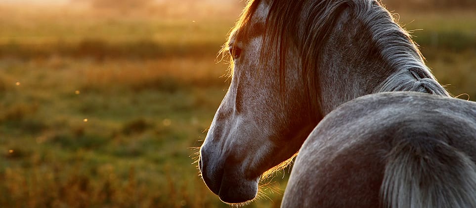 1936210ca1fb703c1adce5f2402fce76