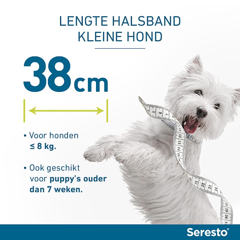 AE - Seresto Halsband Vlooien en Teken Hond zwaarder dan 8 kg - 1 x 70 cm (1-pack)