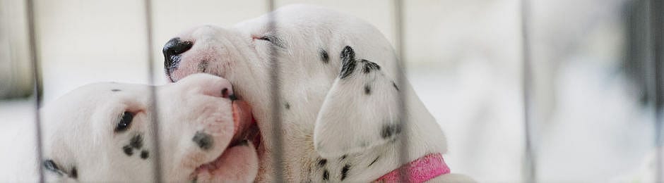 f1c476195cd0aa277427a5b7aa5c9e1c