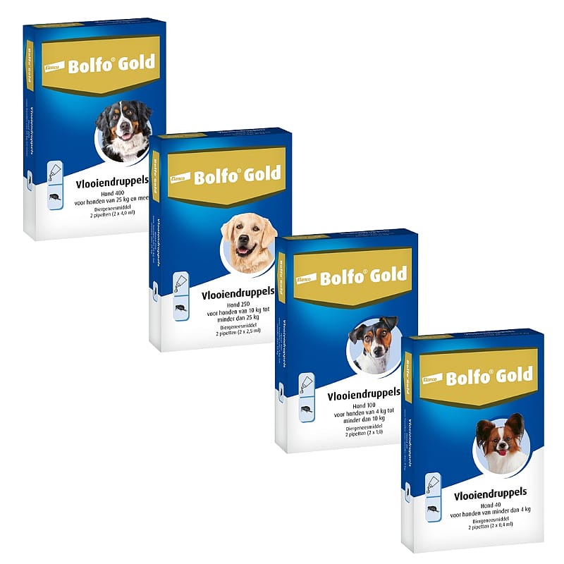 Bolfo Gold Hond 4 - 10 kg - 2 pipetten - 100 mg