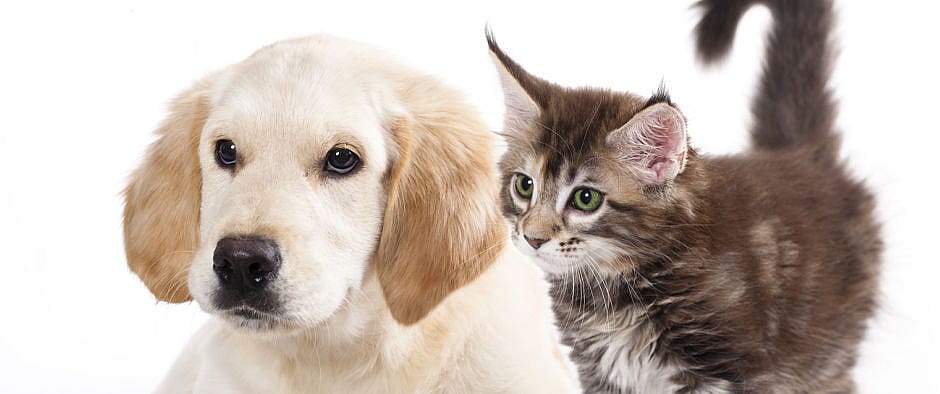 cce1d9e0a9aacaeb2fb1c2bebaca3d26