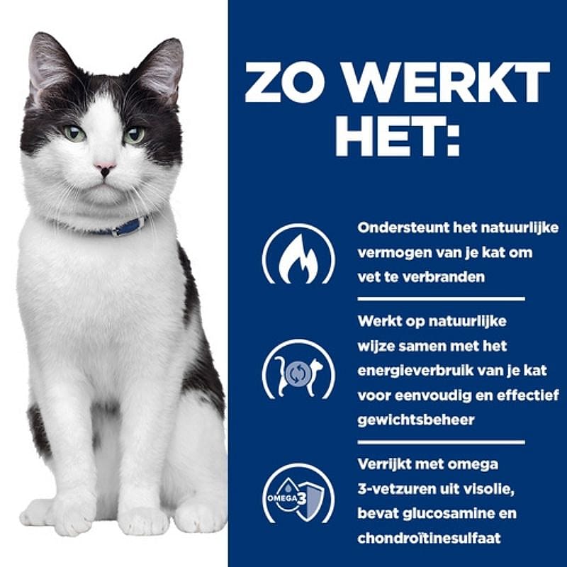 kat, kattenhalsband, koord, zwart-wit, voeding/kat