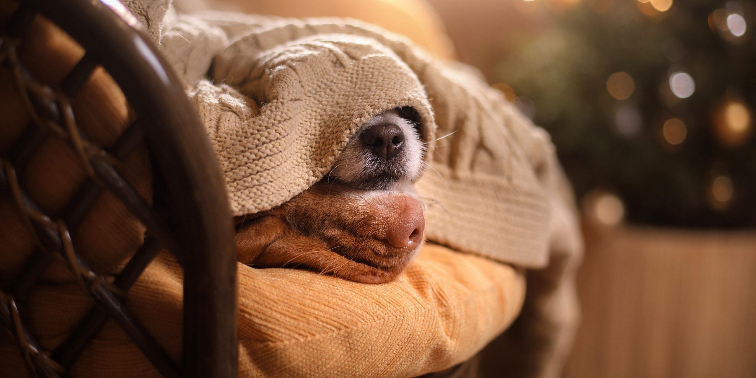 531b7cdc321fbdd7bf8965ca3cb340b0