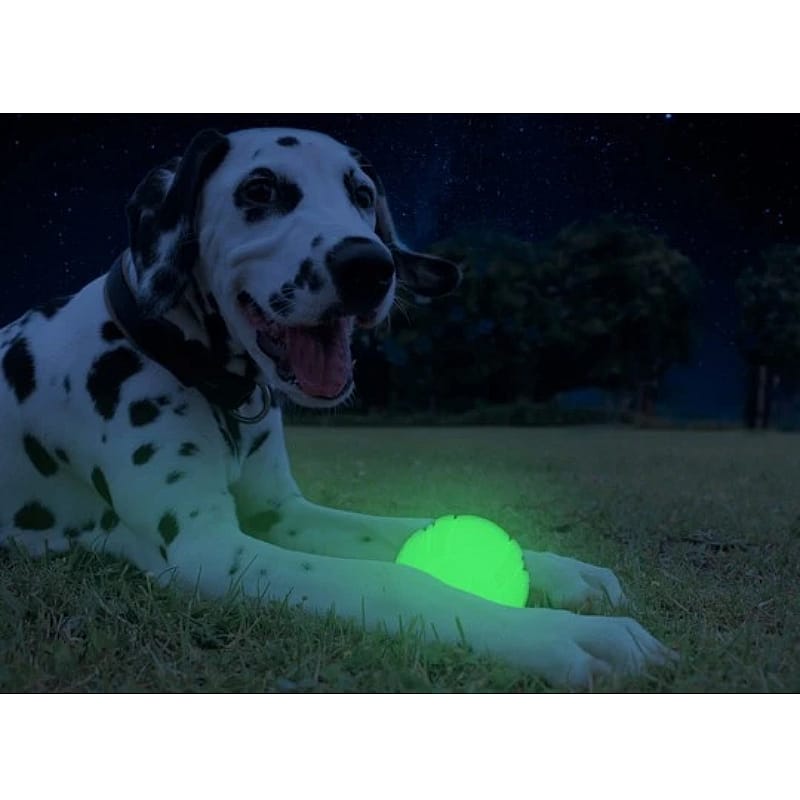 2 Glow Fetch And Catch (1 stuk)