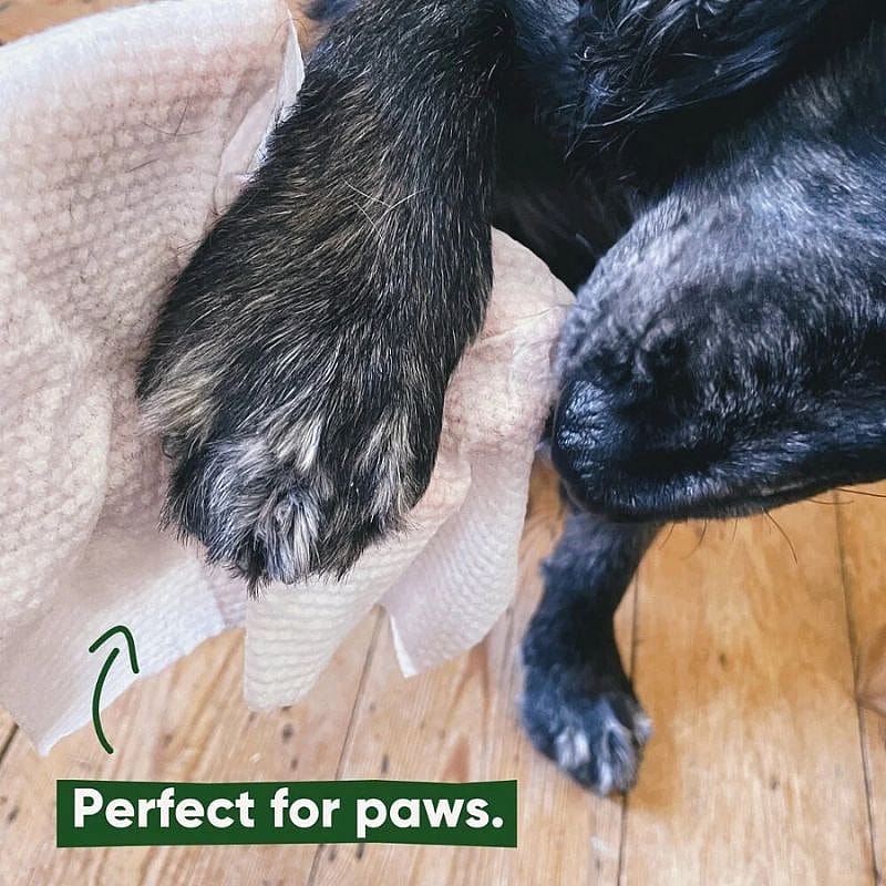 Beco BAMBOO Dog Wipes Travel 20 pack Hond Unscented