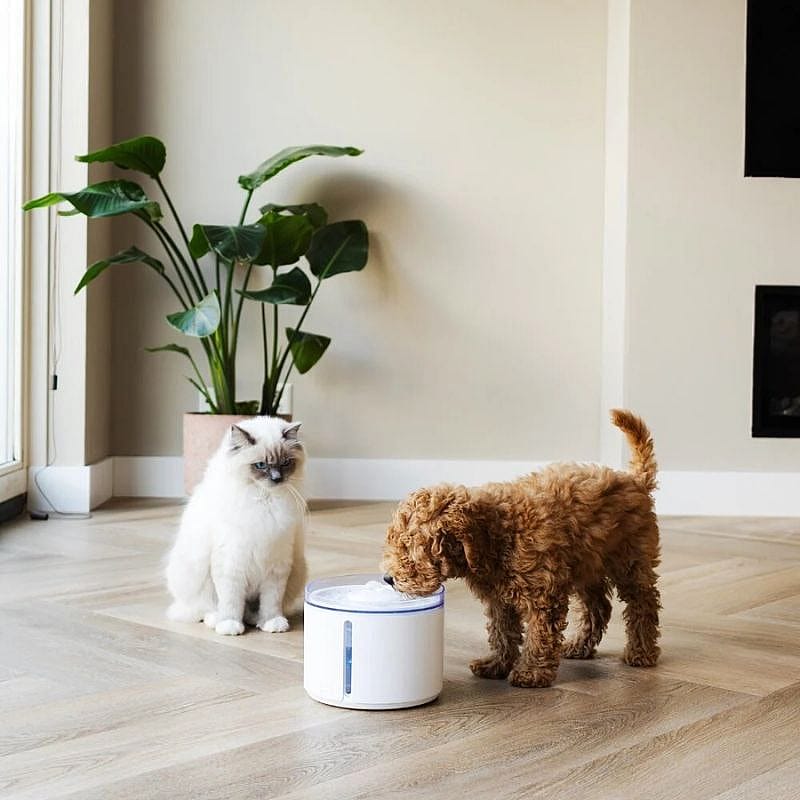 Drinkfontein voor katten van roestvrij staal