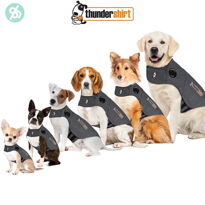 Thundershirt Hond Maat X-Large