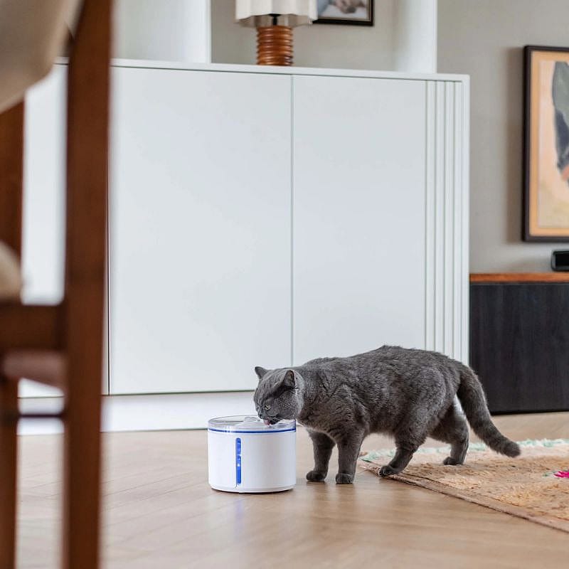 Automatische Kattenfontein 2.4L Waterdispenser met Filter | Katten