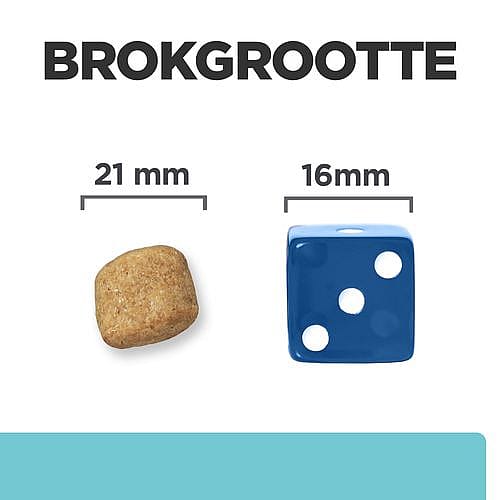 Hill's Prescription Diet TD Mini Dental Care Hondenvoer Kip 3 kg