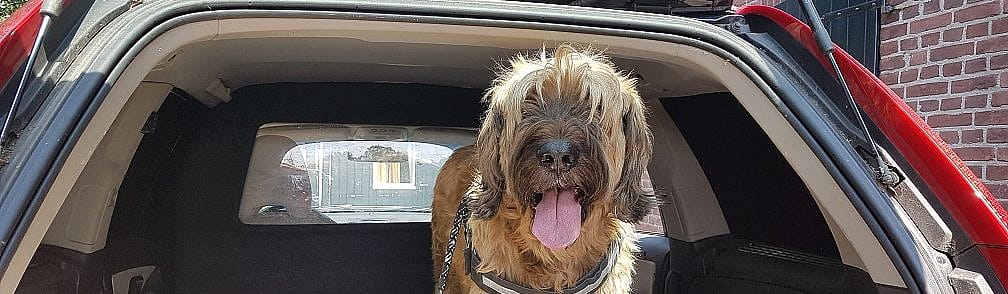 f8eae3456d4acb9fe23a51e5a58e531c