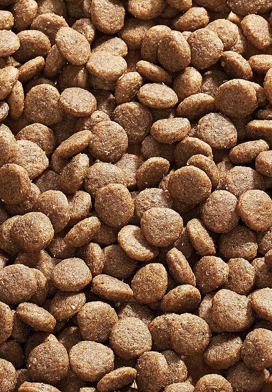 Vet-Concept L-Protect Kattenvoer