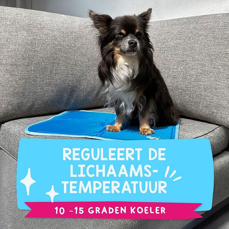 Coolpets Premium Solid Gel Cooling Mat Hond Maat Small