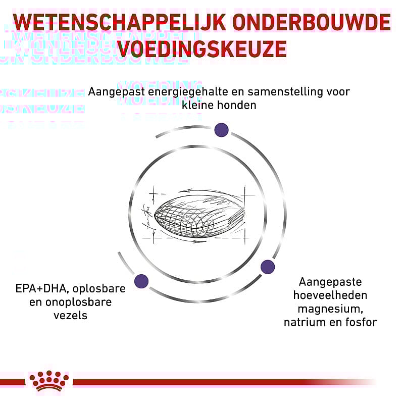 Royal Canin Adult Small Dog 2 kg