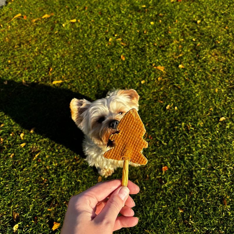 Dierapotheker Kerstboom Kerst Snack Hond 3 stuks Konijn