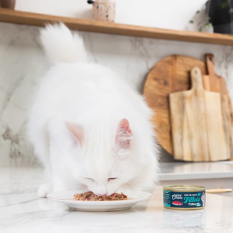 Edgard & Cooper Blikjes Tonijn en Inktvis Fancy Fillets Kat 24 x 70 gram