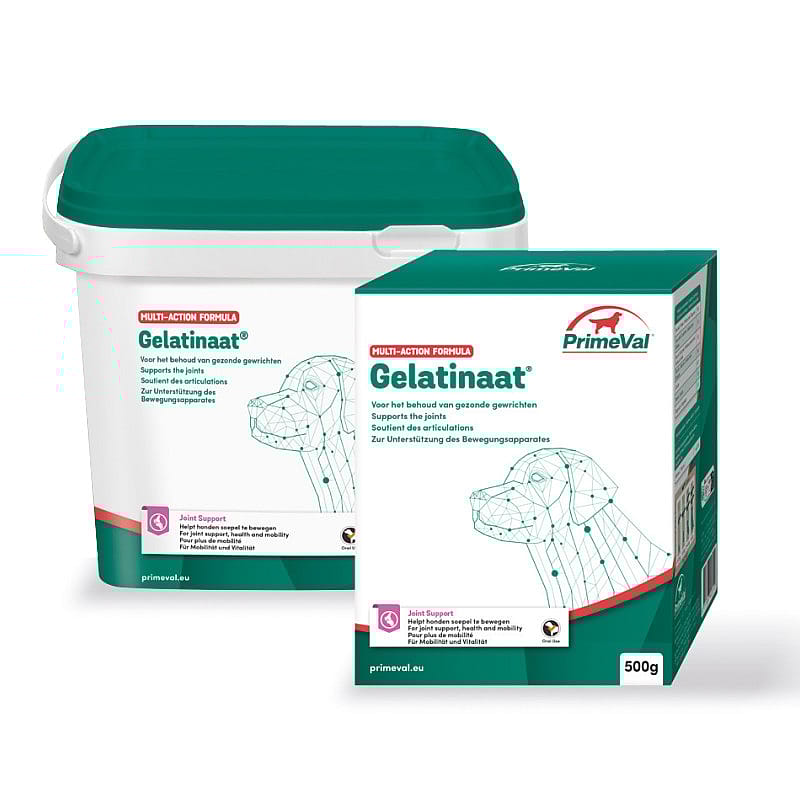 Primeval Gelatinaat Hond 500 gram