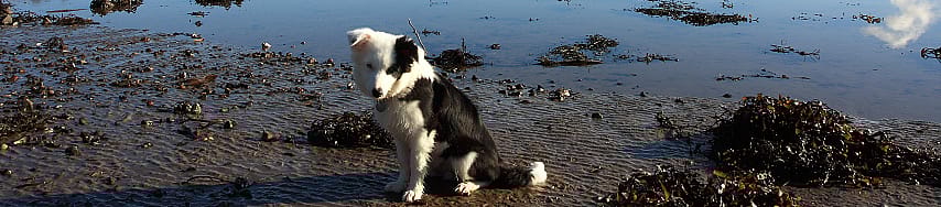 7ff4fa7f0b368ce18ee8f9e9ba3f05d9