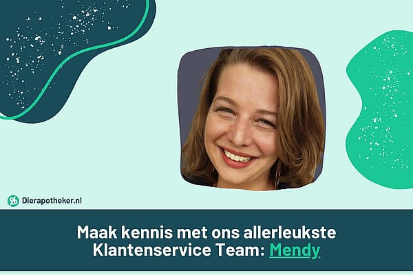 Preview_Image_600x400px_Mendy_klantenservice_Blog