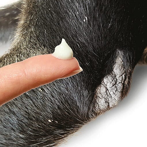 Maxani Kerasooth Cream Huid Hond Kat 30 ml