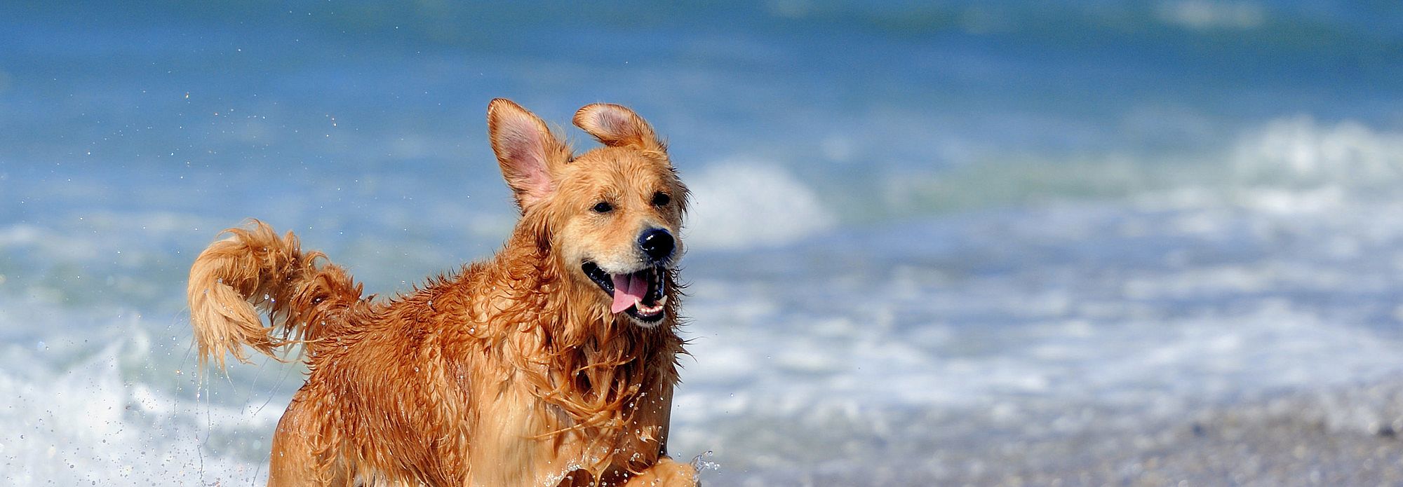 77fd8b2a2a9d9ae4431a9ff08a577b1c