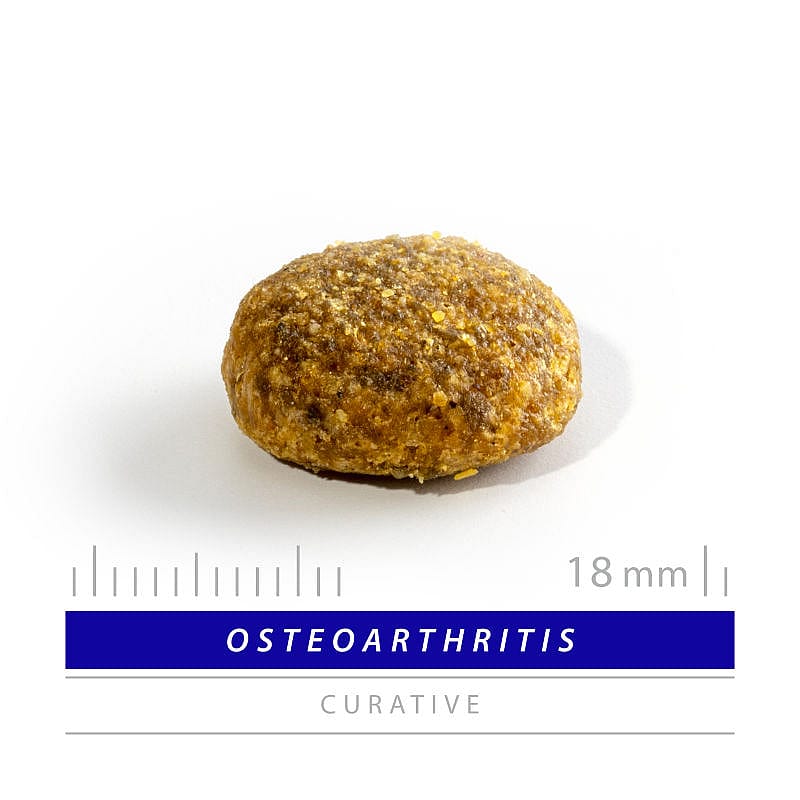Sanimed Osteoarthritis Hond Dieetvoer: Gewrichtsondersteuning - Artrose - Visolie