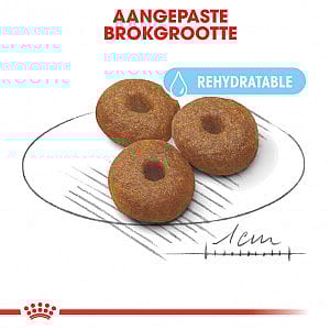 Royal Canin Starter Maxi Hond 15 kg