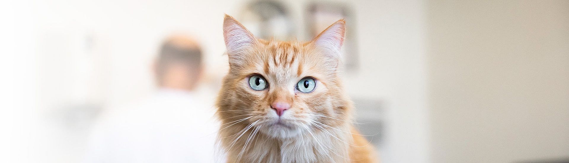 95429c539c2821262c2de3f3bdd5137f