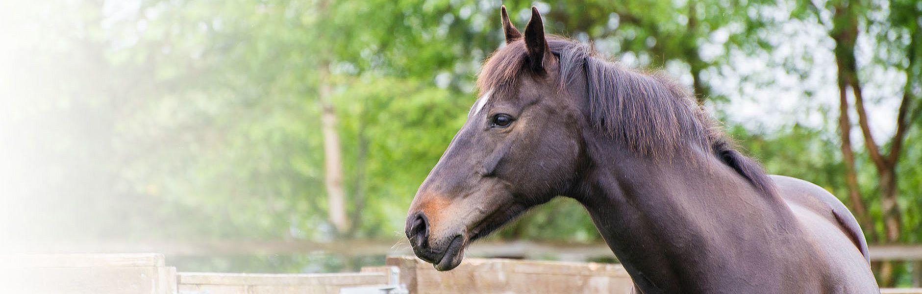 06f94480aae6b090b3aa2ca19f0b7c5f