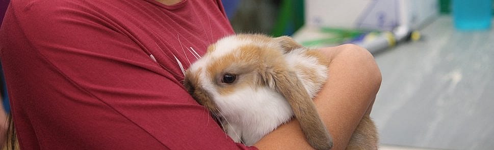 862f782f417c5049432fe9d6410e1efb