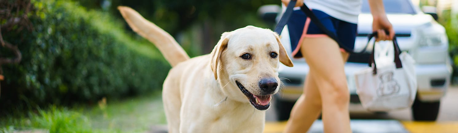 e1dd6a42d7e5ea43d7febd00a0013400