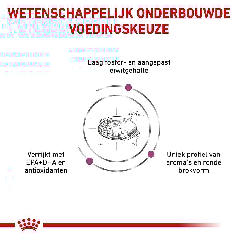 Royal Canin Renal Special Hond