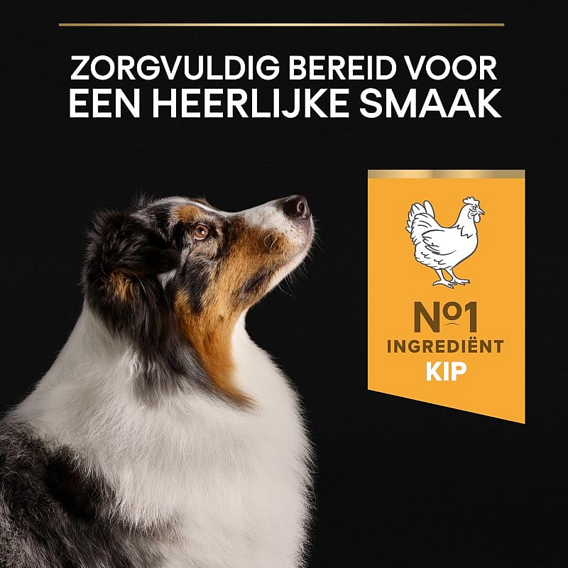 Purina Pro Plan Medium & Large Adult 7+ Age Defence Hondenvoer Kip 14 kg