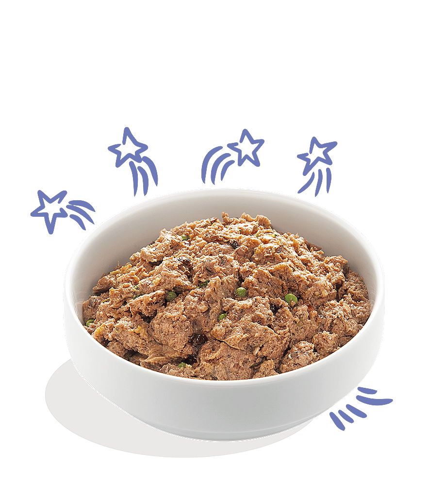 Edgard & Cooper Adult Hondenvoer Kuipjes Rund en Eend 11 x 150 gram