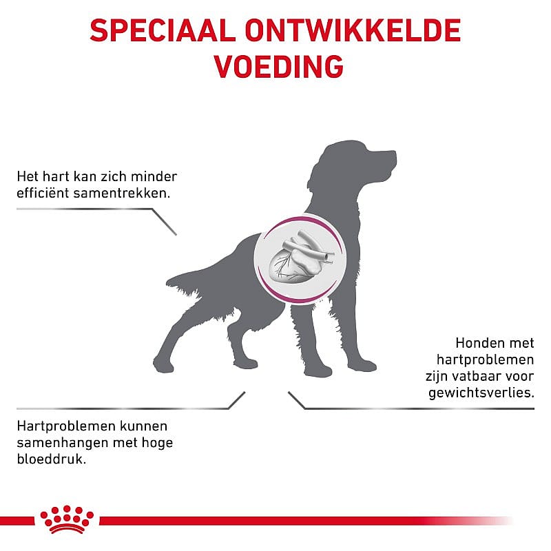 Royal Canin Cardiac Hond 12 x 410 gram blikjes