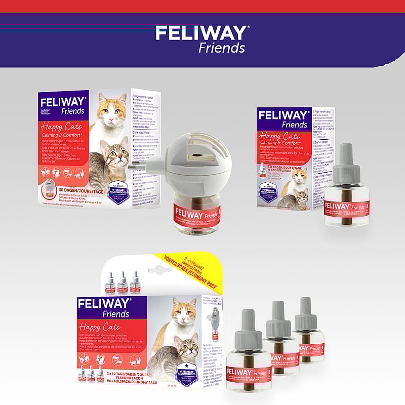 Feliway Friends