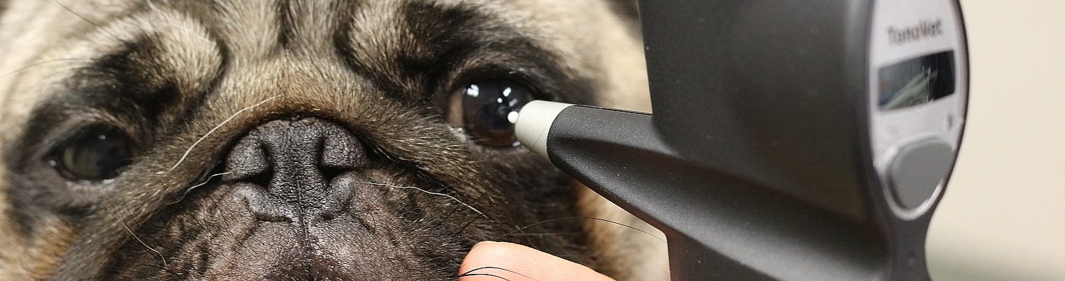 3e4fbdc1126e623f7f2c8a65f8b699e8