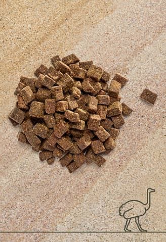 Vet-Concept Struisvogel Vleessnacks Hond Kat 100 gram