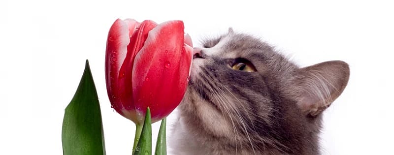 225134cb2c3de223cf1de7ca96b7b30a